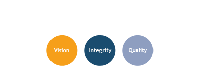 Vision Integrity Quality